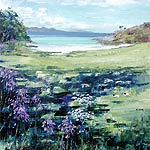 Beach & bluebells, Arisaig